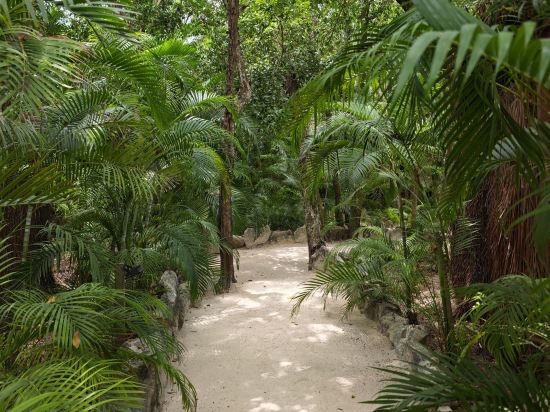 圖蘭哈比達斯酒店優惠