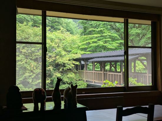 黒川温泉 やまびこ旅館 クーポン
