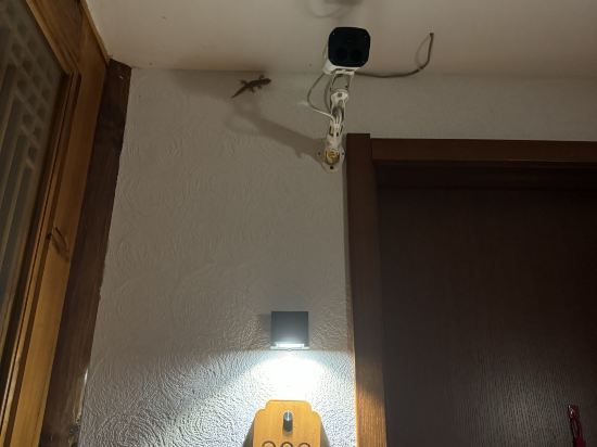 大理雙廊半島了了族親水客棧優惠