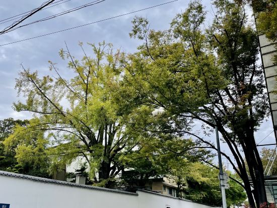 大阪天王寺超級酒店優惠