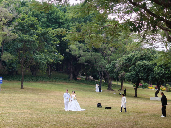 深圳南山希爾頓逸林酒店及公寓優惠