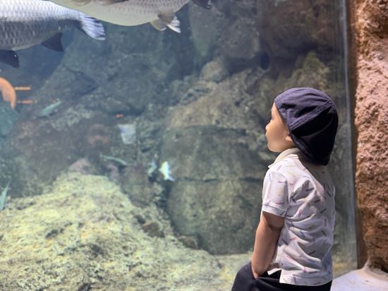 長隆橫琴灣酒店（珠海長隆旗艦店）優惠