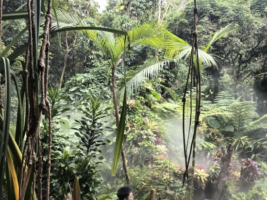 笙品假日飯店（廈鼓碼頭海上世界店）優惠