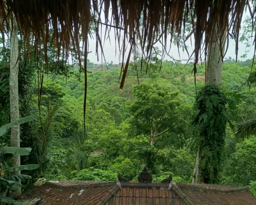 Prashanti Bali بالقرب من الفندق Photos