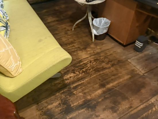 銀杏 高山 Icho Takayama クーポン