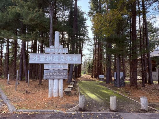 Dormy Inn飯店-旭川天然溫泉優惠