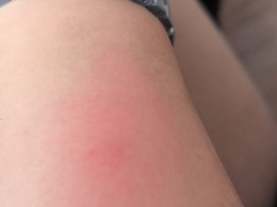 港灣國際公寓（北京東直門三里屯店）優惠