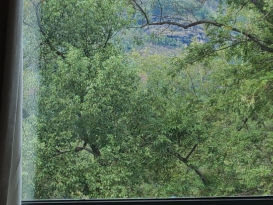 武夷山舊街五號雲起時客棧優惠