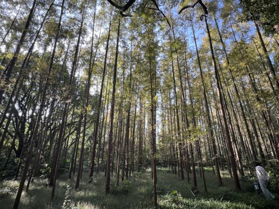 上海西郊賓館優惠