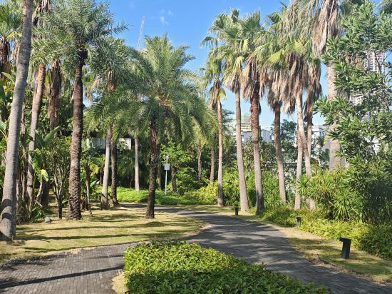 深圳藍楹灣度假酒店優惠