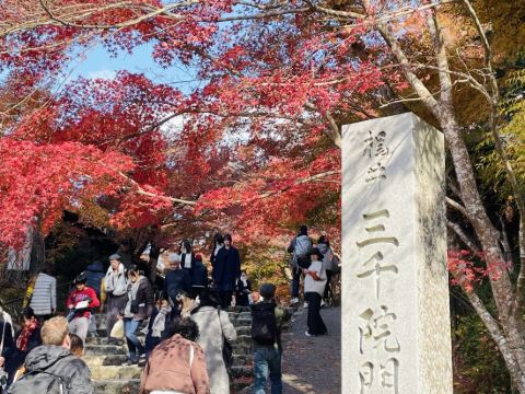 JR西日本グループ ヴィアイン京都駅八条口 クーポン