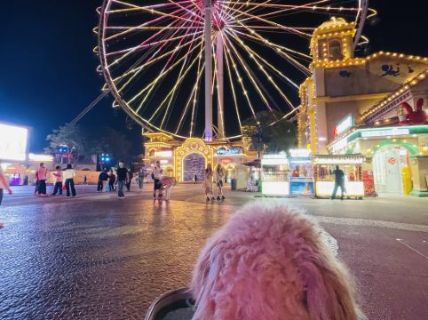 藍汐假日酒店（佛山華僑城歡樂海岸PLUS店）優惠