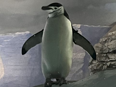 GRAND BASE 大須 クーポン