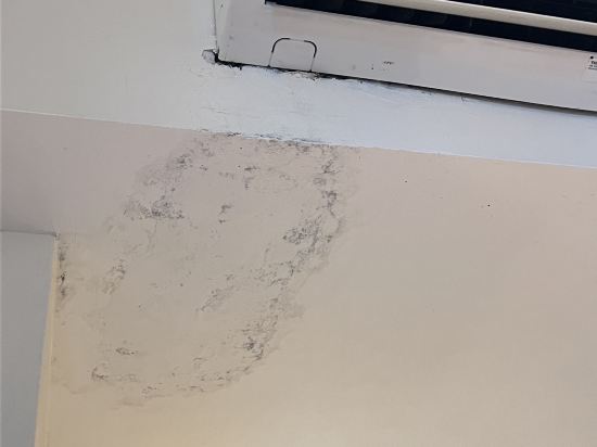 新加坡81酒店-鑫星 （Staycation Approved）優惠