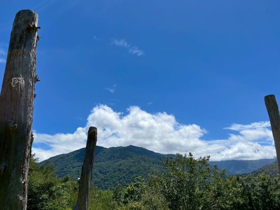 宜蘭大同棲蘭山莊（棲蘭森林遊樂區）優惠