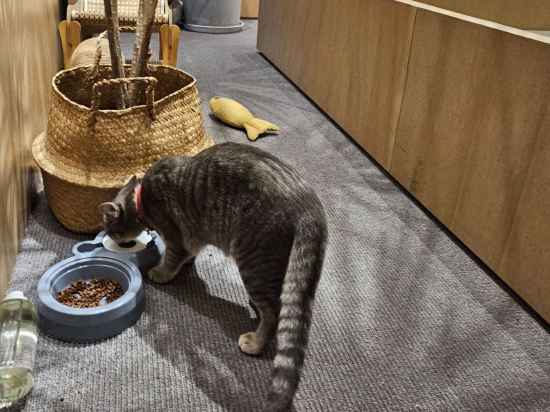 念念行旅飯店（北京南鑼鼓巷北新橋地鐵站店）優惠