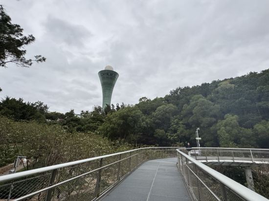 廈門中心智選假日酒店優惠