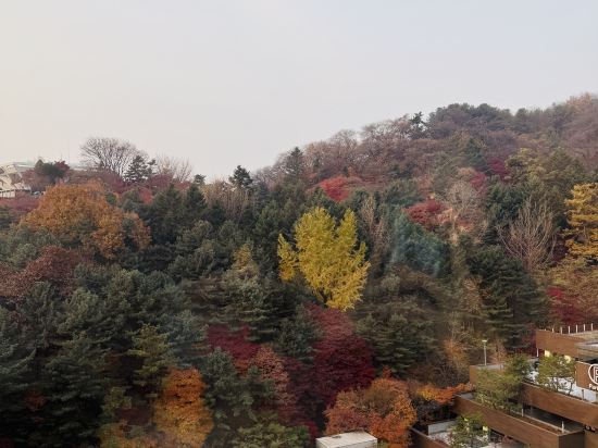 그랜드 워커힐 서울 쿠폰