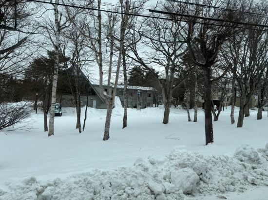 安比高原全日空皇冠假日度假村優惠