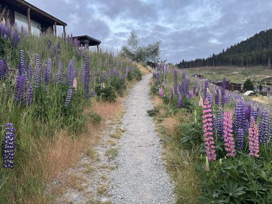 特卡波湖汽車旅館和假日公園優惠