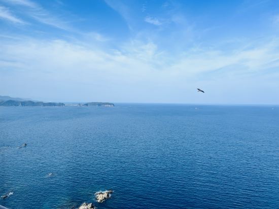 ホテル浦島 クーポン