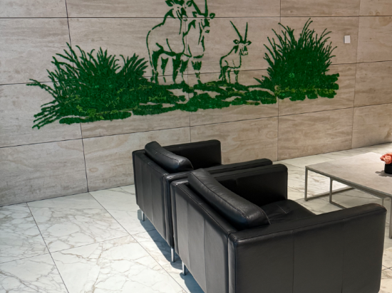 羚羊機場酒店 - 僅限轉機優惠