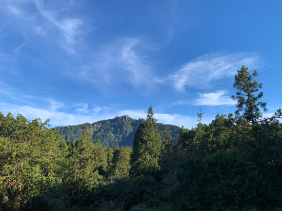 嘉義阿里山賓館優惠