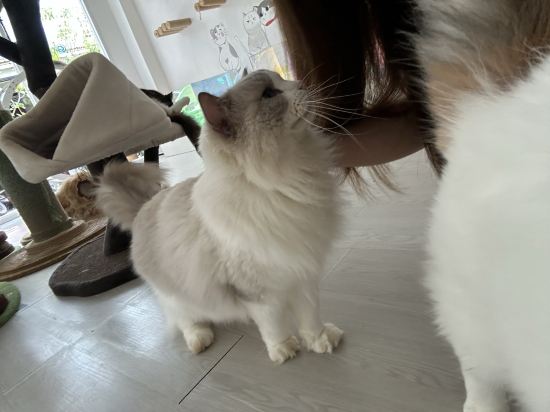 選擇你·設計師飯店優惠