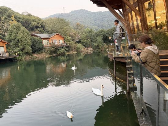 杭州開元森泊度假酒店優惠