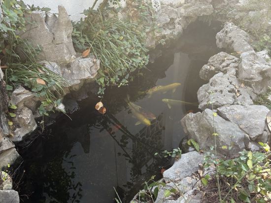 同裡1917最江南客棧優惠