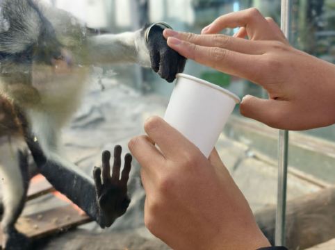 南京紫清湖温泉度假酒店優惠