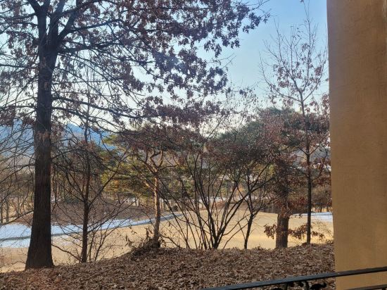 알프스 대영 골프 빌리지 쿠폰