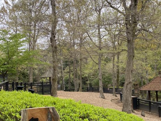 ウブドの森　伊豆高原 クーポン