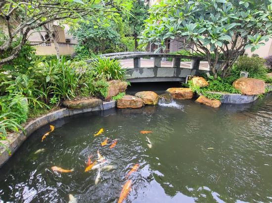 中山温泉賓館優惠