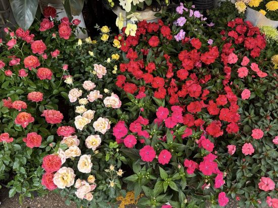 昆明白日青春飯店（南屏街東風廣場店）優惠