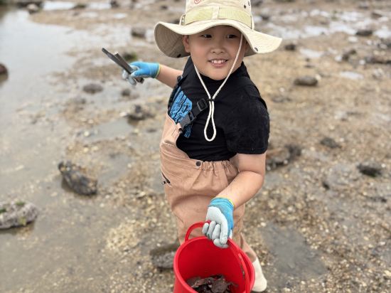 비체 팰리스 쿠폰