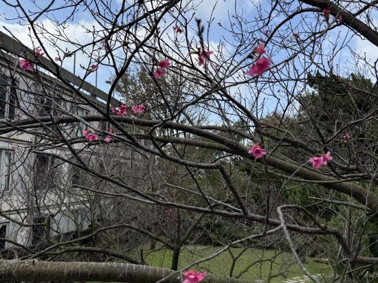 雀客藏居台北陽明山優惠