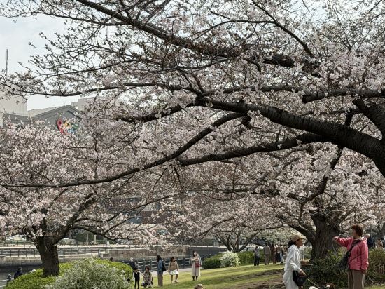 JR東日本橫濱櫻木町METS飯店優惠