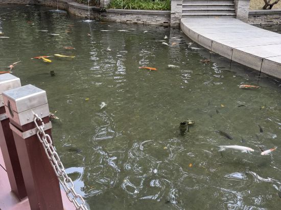 深圳華僑城洲際大酒店優惠