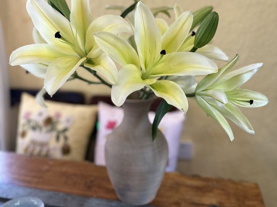 麗江古城瀾舍設計師公館客棧優惠