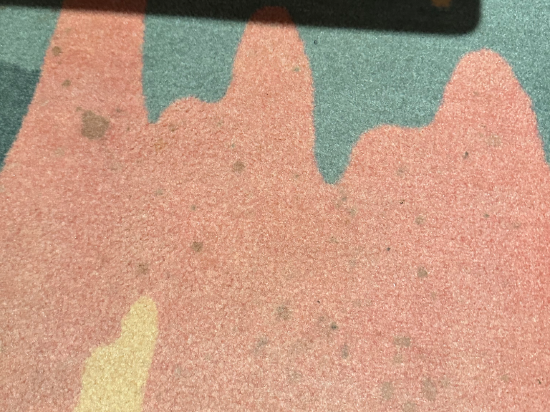 震大金鬱金香飯店優惠