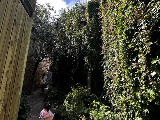 璞石雪山度假飯店（日照金山屋頂觀景店）優惠