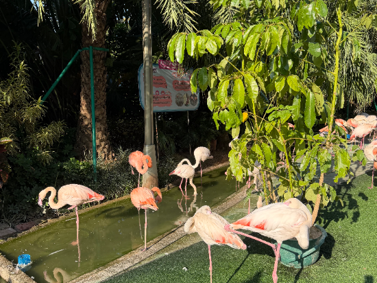 Amigo米閣睡眠飯店（深圳北站店）優惠