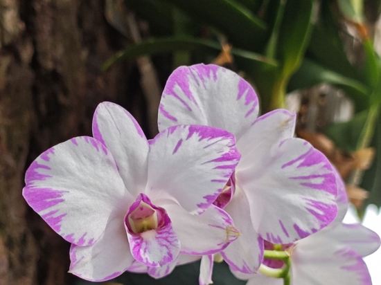 柏高·頌飯店（廣州環市東路店）優惠