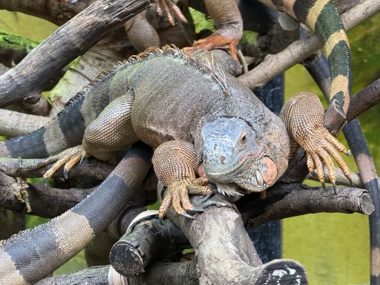 珠海賓薈灣酒店（暨南大學店）優惠