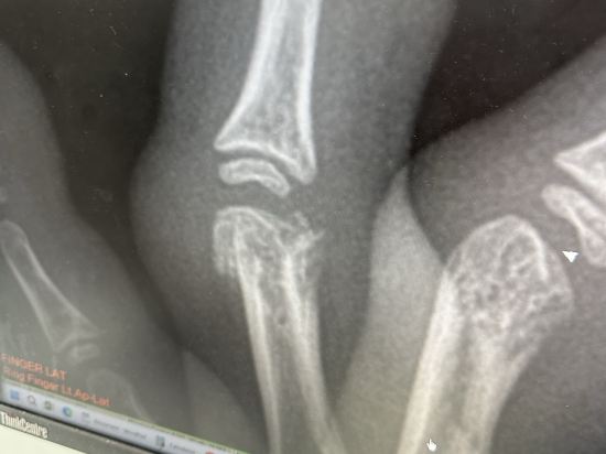 達拉海角渡假村優惠