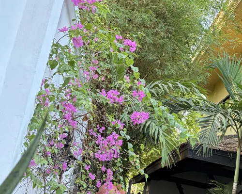 Pavillon Indochine Boutique - Hotel Photos