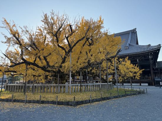 天然温泉　花蛍の湯　ドーミーインＰＲＥＭＩＵＭ京都駅前 クーポン