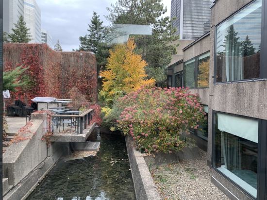 蒙特利爾文德酒店優惠