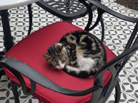 伊斯坦堡蘇拉聖索菲亞大教堂酒店優惠